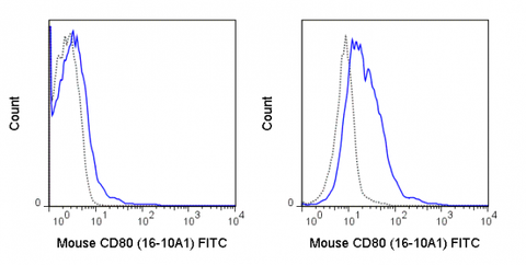 C57Bl/6 splenocytes were unstimulated (left panel) or stimulated for 3 days with LPS (right panel) and stained with 0.25 ug FITC Anti-Mouse CD80 (35-0801) (solid line) or 0.25 ug FITC Armenian Hamster isotype control (dashed line).