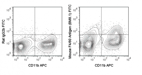 C57Bl/6 bone marrow cells were stained with APC Anti-Mouse CD11b (20-0112) and 0.5 ug FITC Anti-Mouse F4/80 Antigen (35-4801) (right panel) or 0.5 ug FITC Rat IgG2b isotype control (left panel).