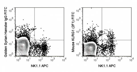 C57Bl/6 splenocytes were stained with APC Anti-Mouse NK1.1 and 0.5 ug FITC Anti-Mouse KLRG1 (35-5893) (right panel) or 0.5 ug FITC Golden Syrian Hamster IgG (left panel).
