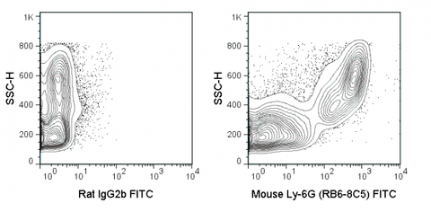 C57Bl/6 bone marrow cells were stained with 0.5 ug FITC Anti-Mouse Ly-6G (35-5931) (right panel) or 0.5 ug FITC Rat IgG2b isotype control (left panel).