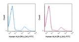 FITC Anti-Human HLA-DR (L243)