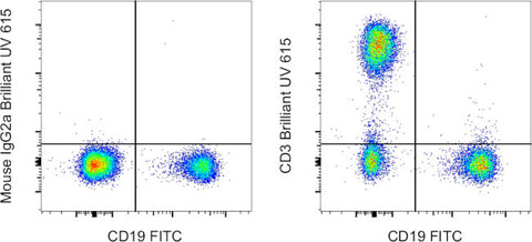 CD3 Monoclonal Antibody (OKT3), Brilliant Ultra Violet™ 615, eBioscience™