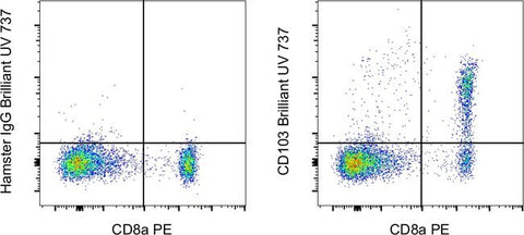 CD103 (Integrin alpha E) Monoclonal Antibody (2E7), Brilliant Ultra Violet™ 737, eBioscience™