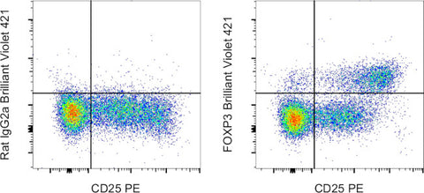 FOXP3 Monoclonal Antibody (FJK-16s), Brilliant Violet™ 421, eBioscience™