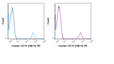 PE Anti-Human CD19 (HIB19)