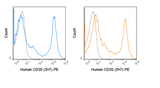 PE Anti-Human CD20 (2H7)