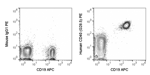 Human peripheral blood lymphocytes were stained with APC Anti-Human CD19 (20-0199) and 5 uL (0.25 ug) PE Anti-Human CD40 (50-0410) (right panel) or 0.25 ug PE Mouse IgG1 isotype control (left panel).