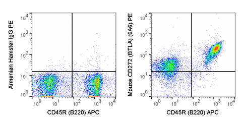 C57Bl/6 splenocytes were stained with APC Anti-Mouse CD45R (20-0452) and 0.25 ug PE Anti-Mouse CD272 (50-5954) (right panel) or 0.25 ug PE Armenian Hamster IgG (left panel).