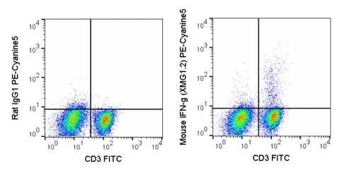 C57Bl/6 splenocytes were stimulated with PMA and Ionomycin and then stained with FITC Anti-Mouse CD3e (35-0031), followed by intracellular staining with 0.125 ug PE-Cyanine5 Anti-Mouse IFN gamma (55-7311) (right panel) or 0.125 ug PE-Cyanine5 Rat IgG1 (le