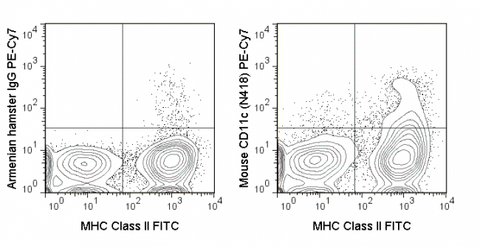 C57Bl/6 splenocytes were stained with FITC Anti-Mouse MHC Class II (35-5321) and 1 ug PE-Cy7 Anti-Mouse CD11c (60-0114) (right panel) or 1 ug PE-Cy7 Armenian Hamster IgG (left panel).