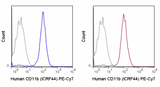 PE-Cyanine7 Anti-Human CD11b (ICRF44)
