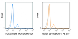 PE-Cyanine7 Anti-Human CD19 (SJ25C1)