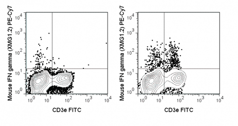 C57Bl/6 splenocytes were stimulated with PMA and Ionomycin (right panel) or unstimulated (left panel) and then stained with FITC Anti-Mouse CD3e (35-0031), followed by intracellular staining with 0.125 ug PE-Cy7 Anti-Mouse IFN gamma (60-7311).