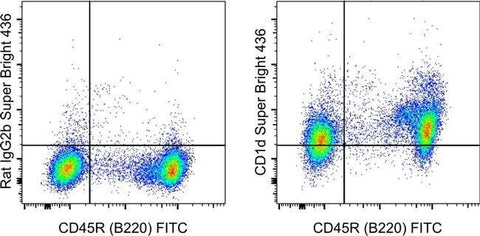 CD1d Monoclonal Antibody (1B1), Super Bright™ 436, eBioscience™