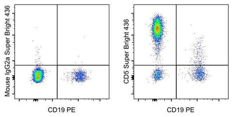 CD5 Monoclonal Antibody (L17F12), Super Bright™ 436, eBioscience™