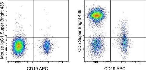 CD5 Monoclonal Antibody (UCHT2), Super Bright™ 436, eBioscience™