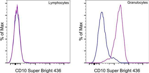 CD10 Monoclonal Antibody (eBioCB-CALLA (CB-CALLA)), Super Bright™ 436, eBioscience™