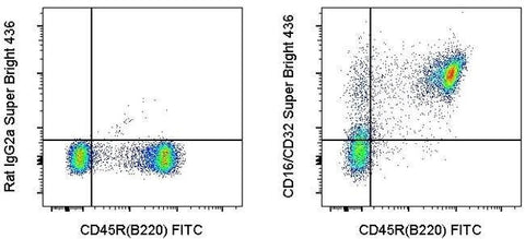 CD16/CD32 Monoclonal Antibody (93), Super Bright™ 436, eBioscience™