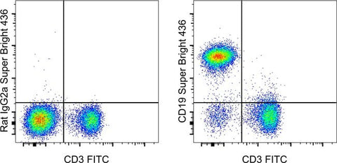 CD19 Monoclonal Antibody (eBio1D3 (1D3)), Super Bright™ 436, eBioscience™