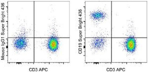 CD19 Monoclonal Antibody (HIB19), Super Bright™ 436, eBioscience™
