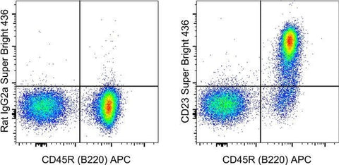 CD23 Monoclonal Antibody (B3B4), Super Bright™ 436, eBioscience™