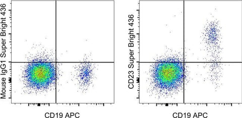 CD23 Monoclonal Antibody (EBVCS2), Super Bright™ 436, eBioscience™