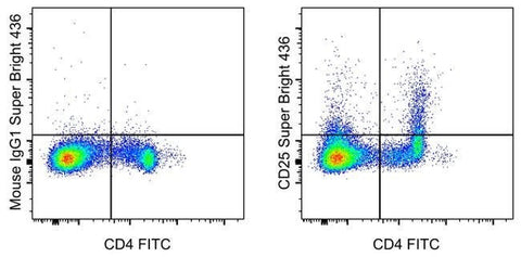 CD25 Monoclonal Antibody (OX39), Super Bright™ 436, eBioscience™