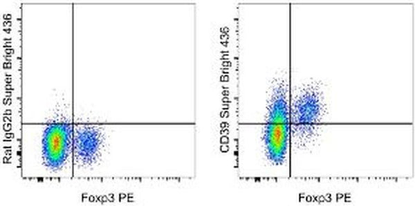 CD39 Monoclonal Antibody (24DMS1), Super Bright™ 436