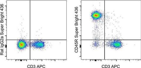 CD45R (B220) Monoclonal Antibody (RA3-6B2), Super Bright™ 436, eBioscience™