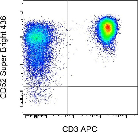 CD52 Monoclonal Antibody (CF1D12), Super Bright™ 436, eBioscience™