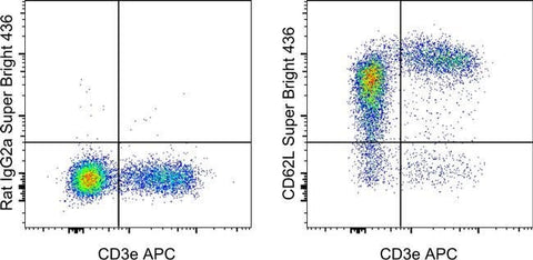 CD62L (L-Selectin) Monoclonal Antibody (MEL-14), Super Bright™ 436, eBioscience™