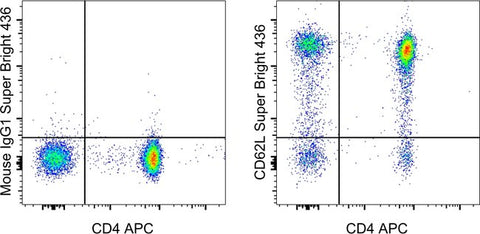 CD62L (L-Selectin) Monoclonal Antibody (DREG-56 (DREG56)), Super Bright™ 436, eBioscience™