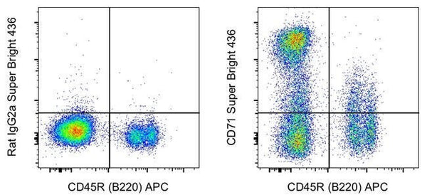 CD71 (Transferrin Receptor) Monoclonal Antibody (R17217 (RI7 217.1.4)),  Super Bright™ 436, eBioscience™