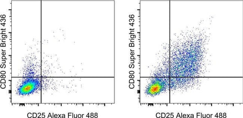 CD80 (B7-1) Monoclonal Antibody (16-10A1), Super Bright™ 436, eBioscience™