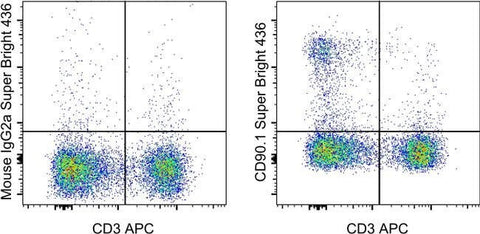 CD90.1 (Thy-1.1) Monoclonal Antibody (HIS51), Super Bright™ 436, eBioscience™