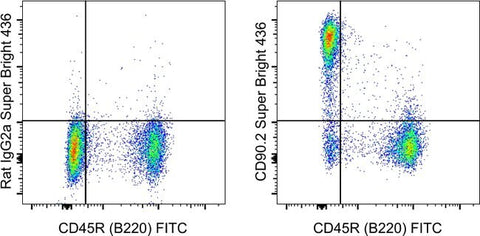 CD90.2 (Thy-1.2) Monoclonal Antibody (53-2.1), Super Bright™ 436, eBioscience™