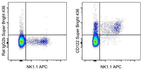 CD122 Monoclonal Antibody (TM-b1 (TM-beta1)), Super Bright™ 436, eBioscience™