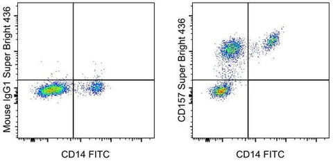 CD157 Monoclonal Antibody (eBioSY11B5 (SY11B5)), Super Bright™ 436, eBioscience™