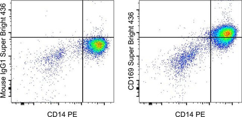 CD169 (Siglec-1) Monoclonal Antibody (7-239), Super Bright™ 436, eBioscience™