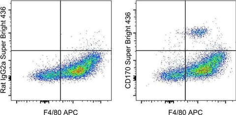 CD170 (Siglec F) Monoclonal Antibody (1RNM44N), Super Bright™ 436, eBioscience™