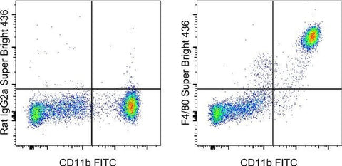 F4/80 Monoclonal Antibody (BM8), Super Bright™ 436, eBioscience™