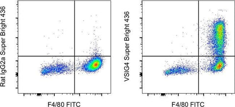 VSIG4 Monoclonal Antibody (NLA14), Super Bright™ 436, eBioscience™