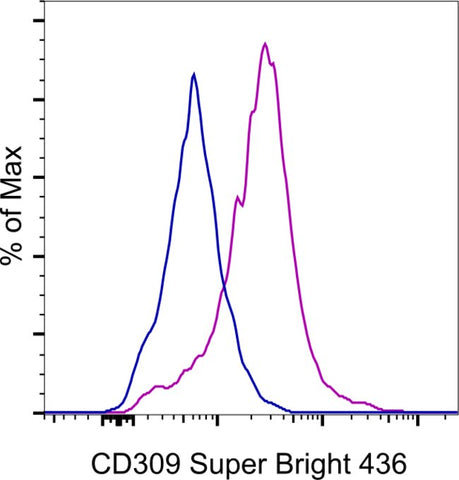 CD309 (FLK1) Monoclonal Antibody (Avas12a1), Super Bright™ 436, eBioscience™