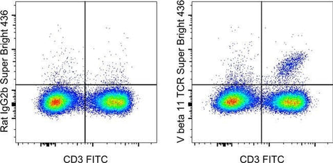 TCR V beta 11 Monoclonal Antibody (RR3-15), Super Bright™ 436, eBioscience™
