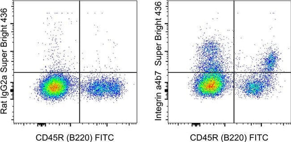 Integrin alpha 4 beta 7 (LPAM-1) Monoclonal Antibody (DATK32 Integrin alpha 4 beta 7 (LPAM-1) Monoclonal Antibody (DATK32