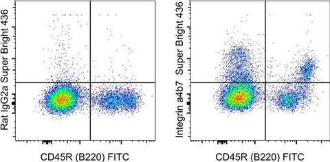Integrin alpha 4 beta 7 (LPAM-1) Monoclonal Antibody (DATK32 (DATK-32)), Super Bright™ 436, eBioscience™