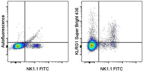 KLRG1 Monoclonal Antibody (2F1), Super Bright™ 436, eBioscience™