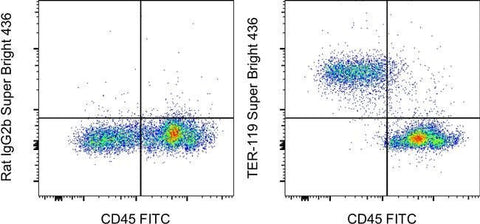 TER-119 Monoclonal Antibody (TER-119), Super Bright™ 436, eBioscience™