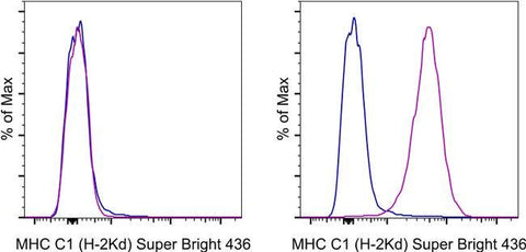 MHC Class I (H-2Kd) Monoclonal Antibody (SF1-1.1.1), Super Bright™ 436, eBioscience™