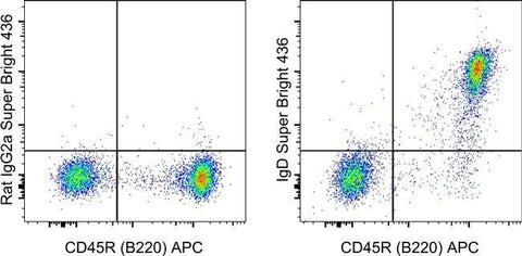 IgD Monoclonal Antibody (11-26c (11-26)), Super Bright™ 436, eBioscience™